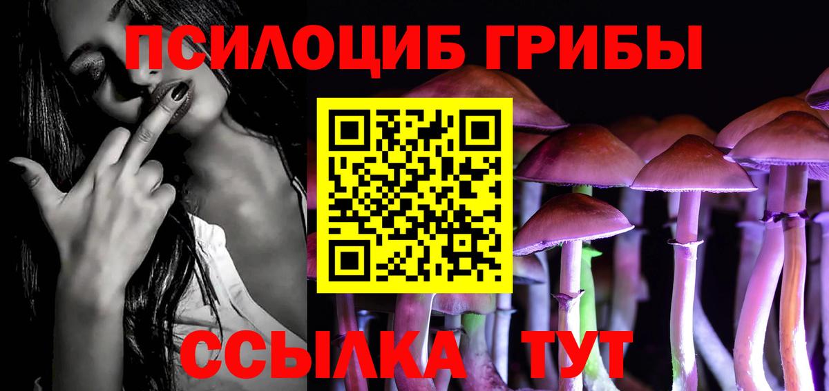 Галлюциногенные грибы Cubensis  Вход с VPN  Вязники 